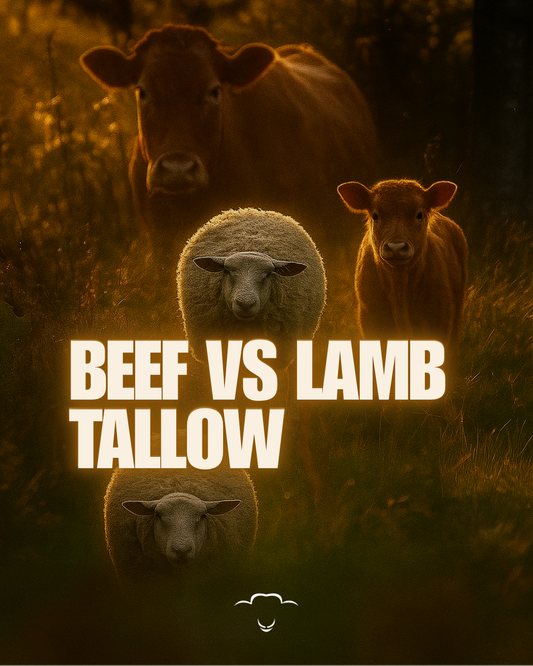 Beef Tallow vs Lamb Tallow: Which Is Better for Skin?