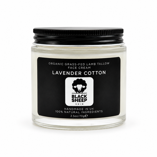 Lavender Cotton