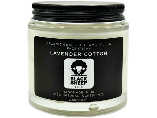 Lavender Cotton